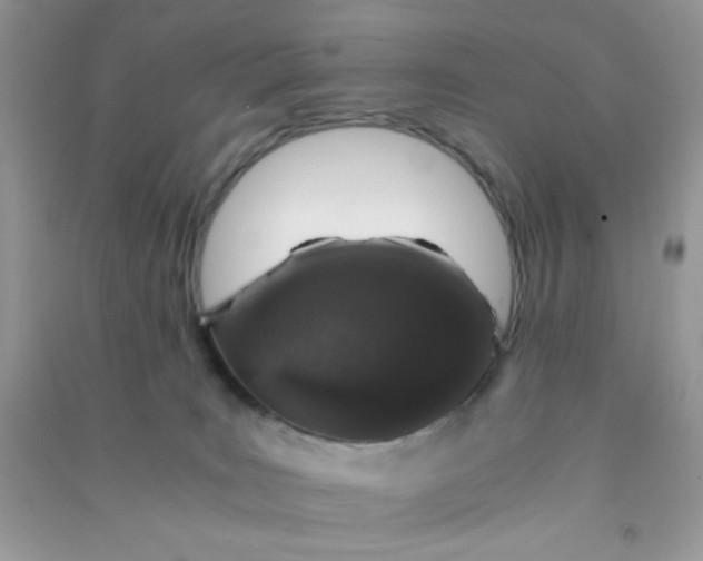 X0000091010035200708162007