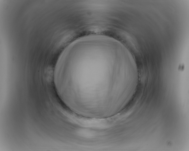 X0000091010036200708162007