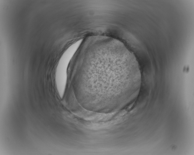 X0000091010037200708162007