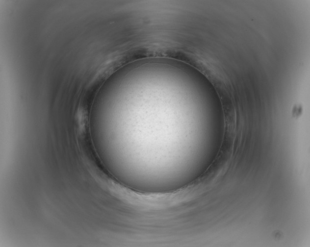 X0000091010038200708162007