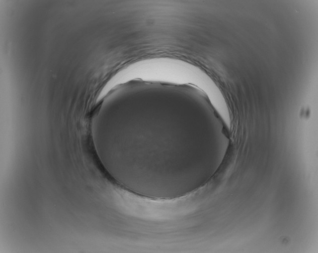 X0000091010039200708162007