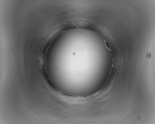 X0000091010040200708162007