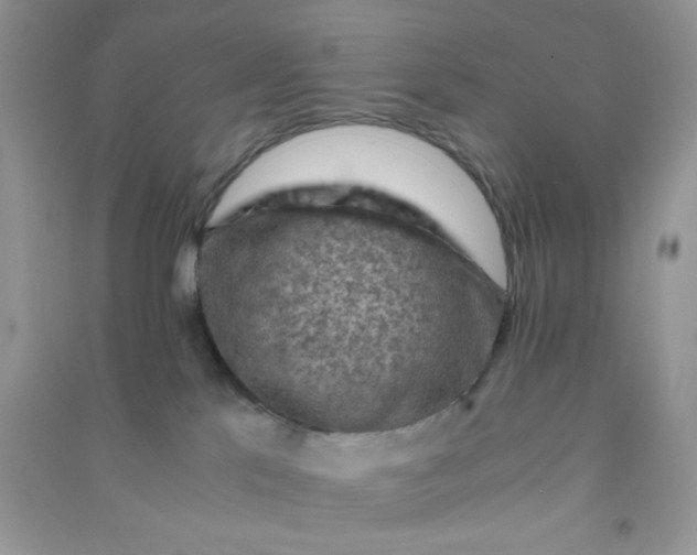 X0000091010041200708162007