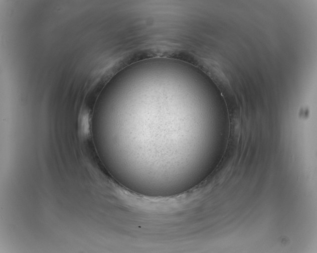 X0000091010042200708162007