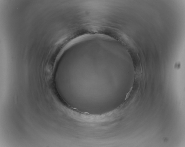 X0000091010043200708162007