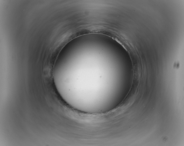 X0000091010044200708162007