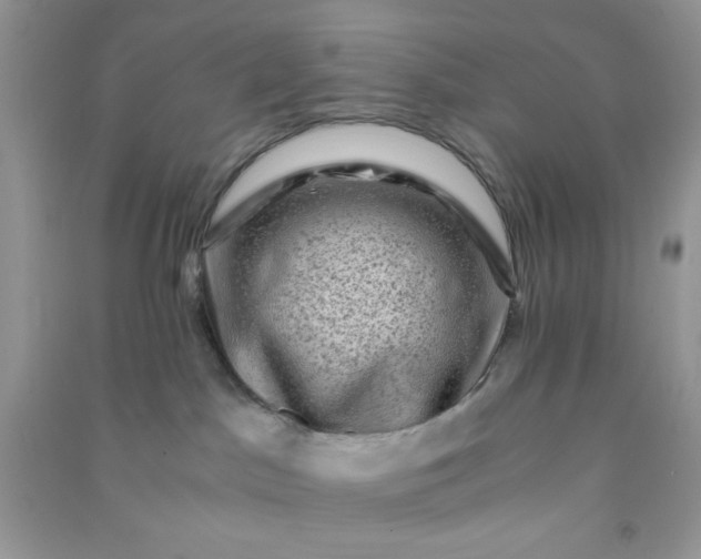 X0000091010045200708162007