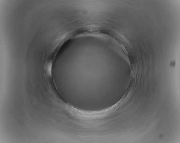 X0000091010047200708162007