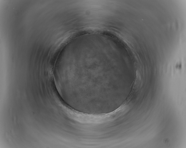 X0000091010048200708162007