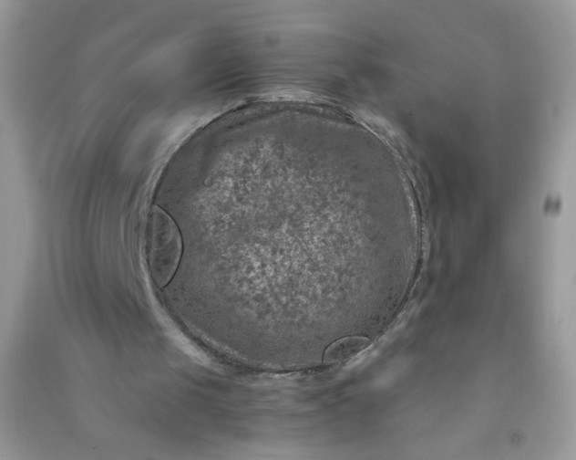 X0000091010049200708162006