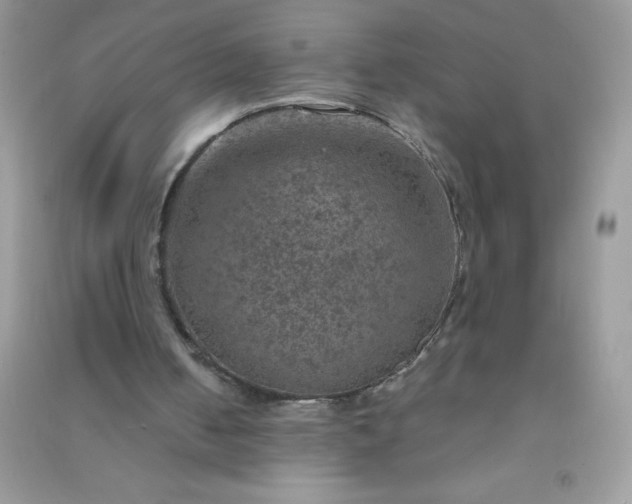 X0000091010050200708162006