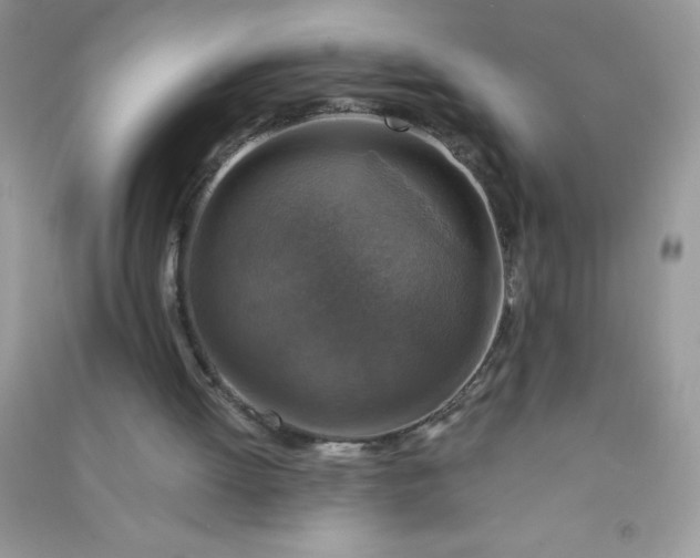 X0000091010052200708162006