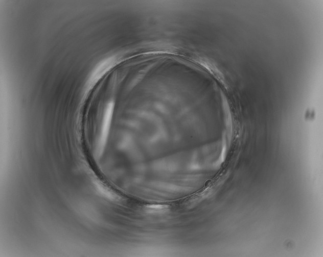 X0000091010053200708162006