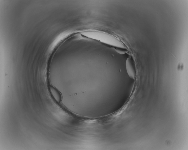 X0000091010054200708162006