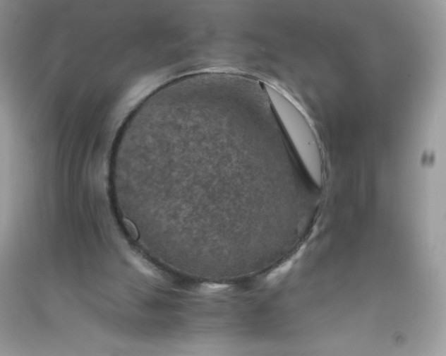 X0000091010055200708162006