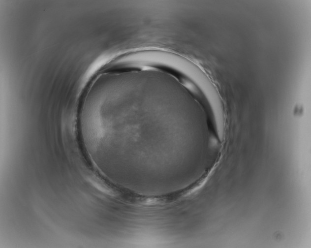 X0000091010056200708162006