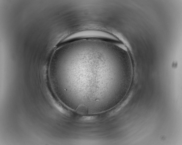 X0000091010057200708162006