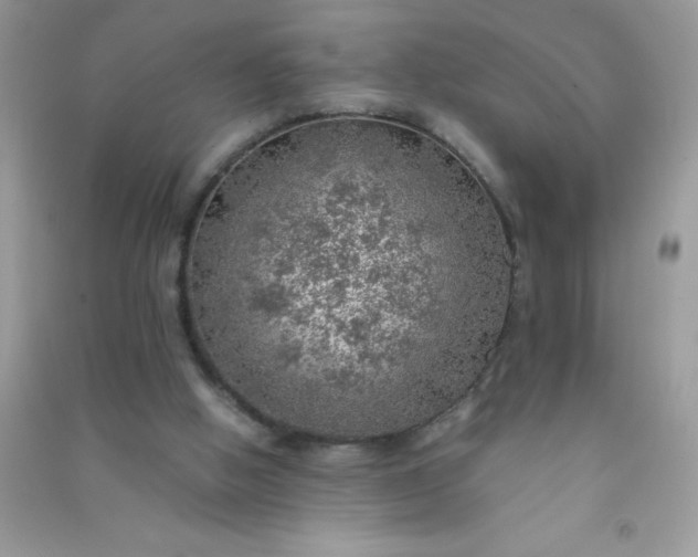 X0000091010058200708162006