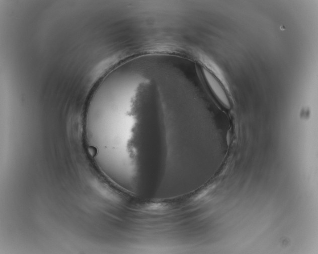 X0000091010059200708162006