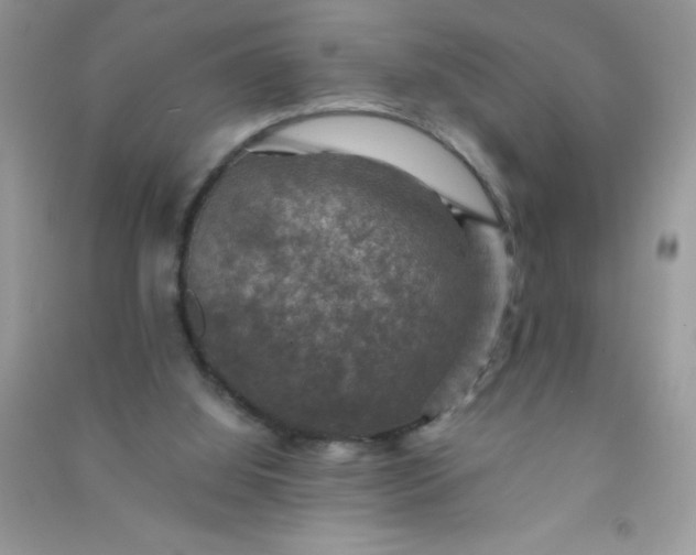 X0000091010060200708162006