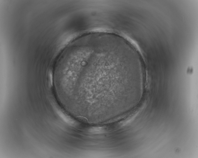 X0000091010061200708162006