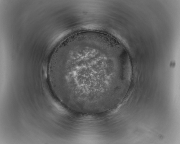 X0000091010062200708162006