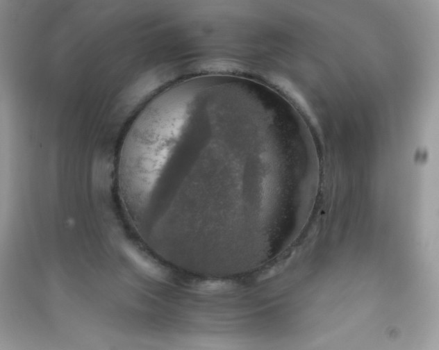 X0000091010063200708162006