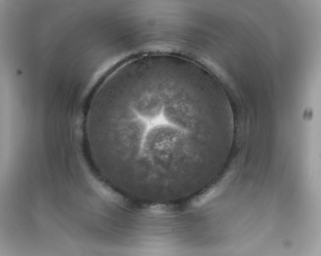 X0000091010064200708162006