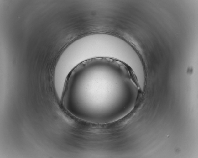 X0000091010065200708162006