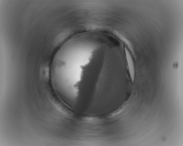 X0000091010067200708162006