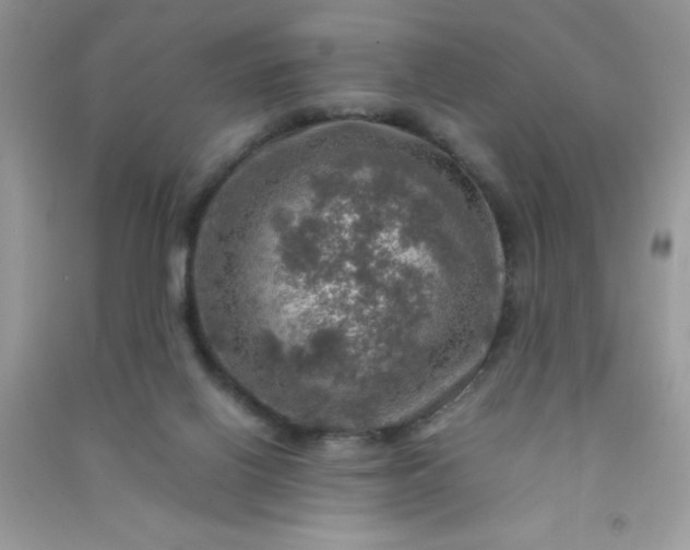 X0000091010070200708162006