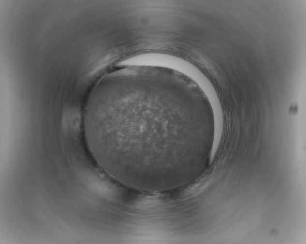 X0000091010072200708162007