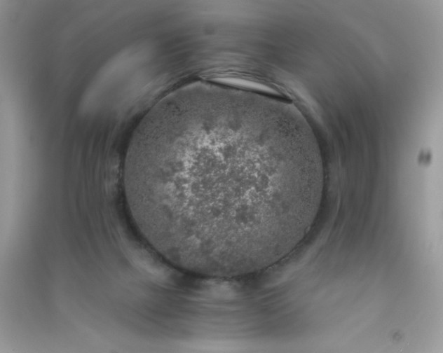 X0000091010073200708162007