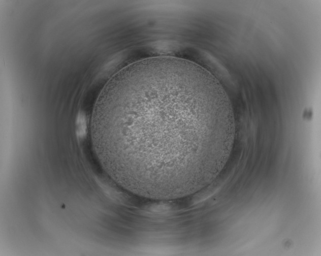 X0000091010075200708162007