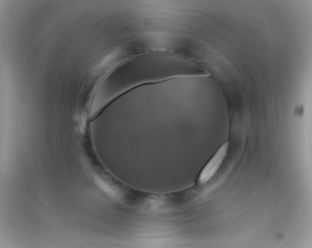 X0000091010076200708162007