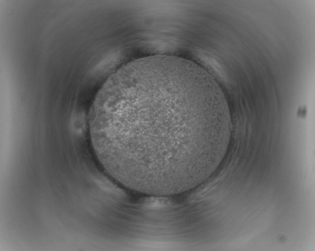 X0000091010077200708162007