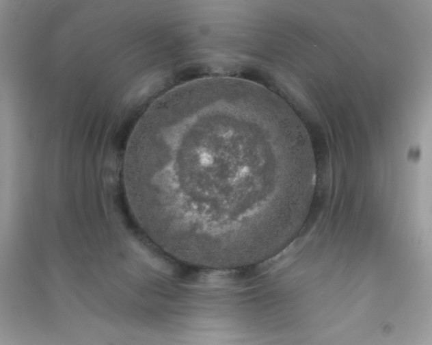 X0000091010078200708162007