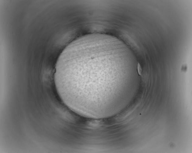 X0000091010079200708162007