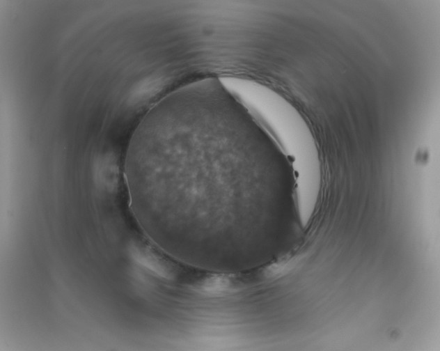 X0000091010080200708162007