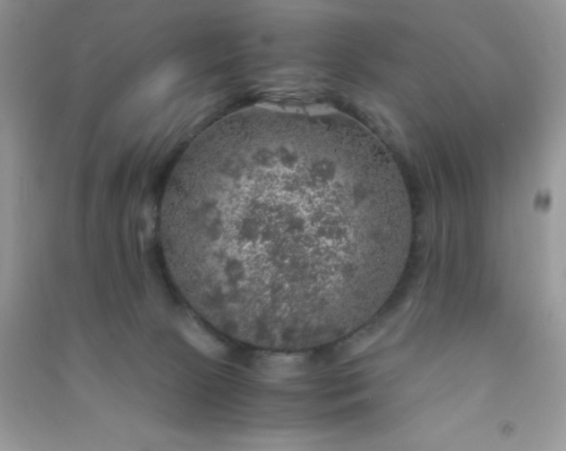 X0000091010081200708162007