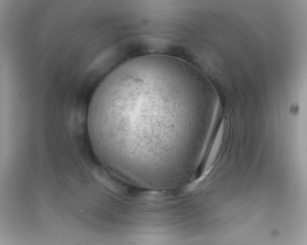 X0000091010082200708162007