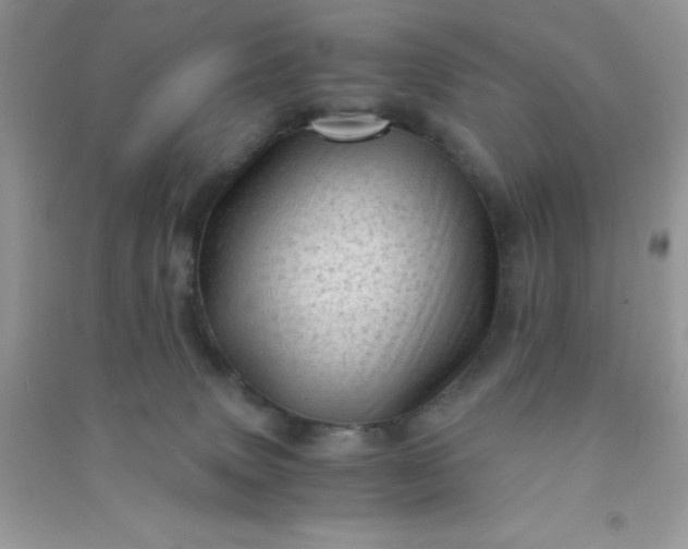 X0000091010083200708162007