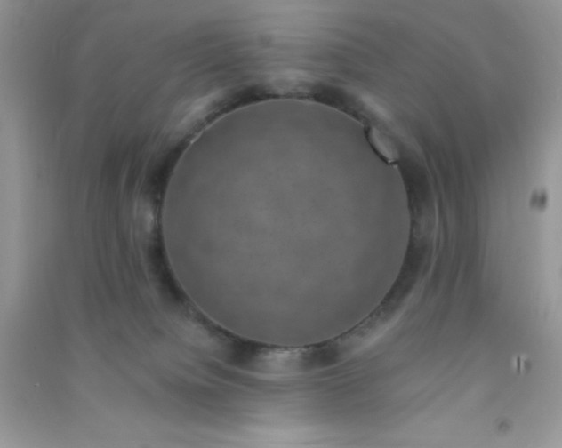 X0000091010084200708162007