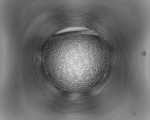 X0000091010085200708162007