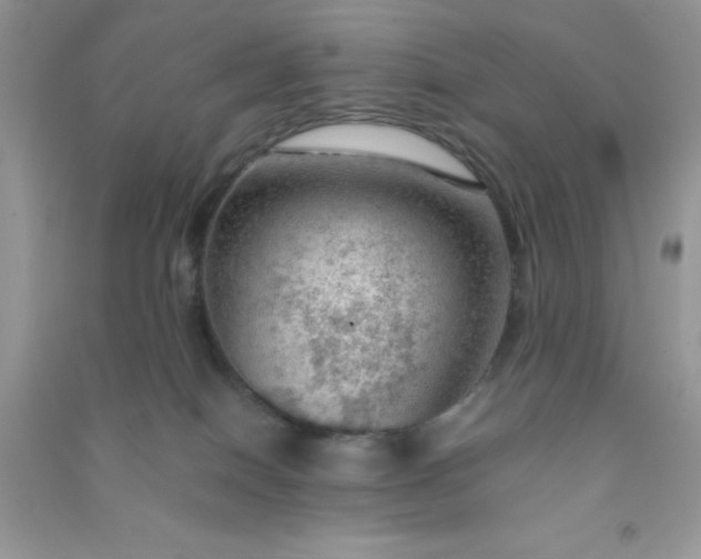 X0000091010086200708162007