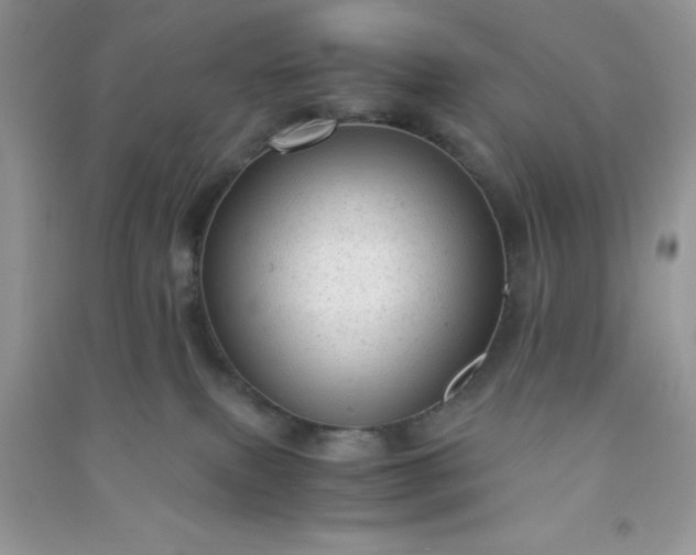 X0000091010087200708162007