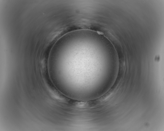 X0000091010088200708162007