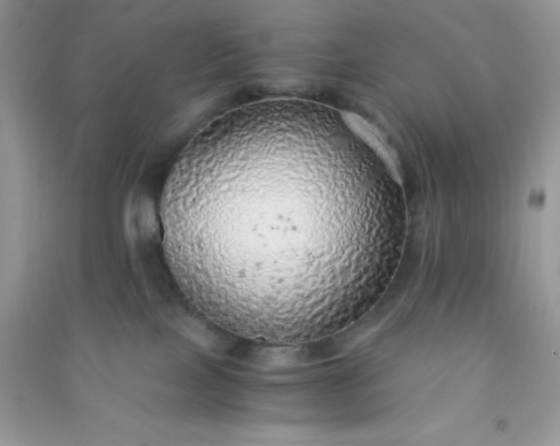 X0000091010089200708162007