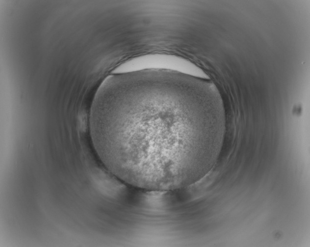 X0000091010090200708162007