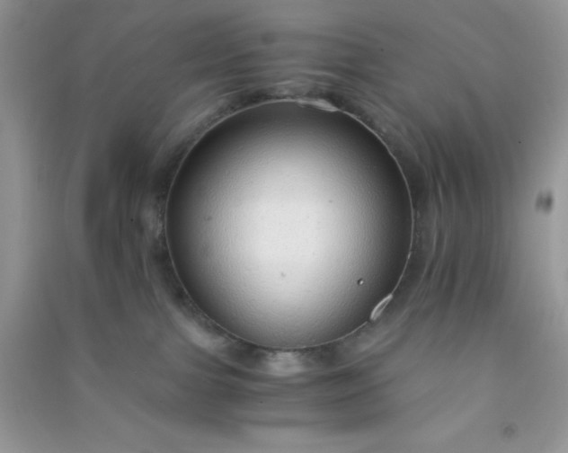 X0000091010091200708162007